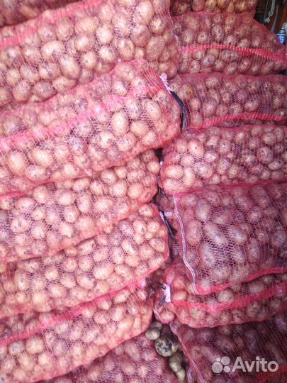 Продам картофель с доставкой