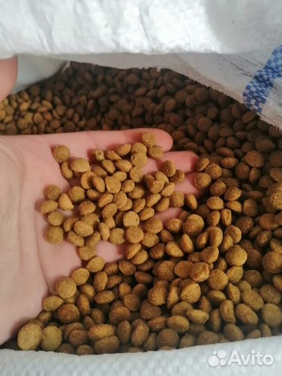 Премиум корм для собак и кошек