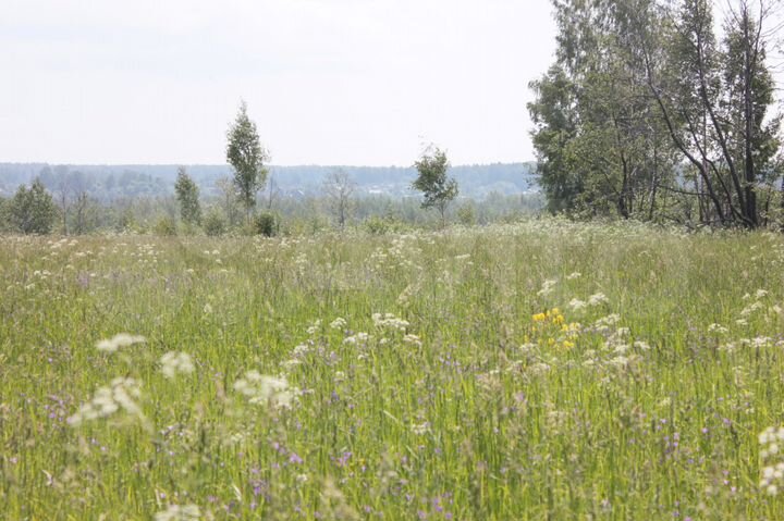 Участок 2,7 га (СНТ, ДНП)