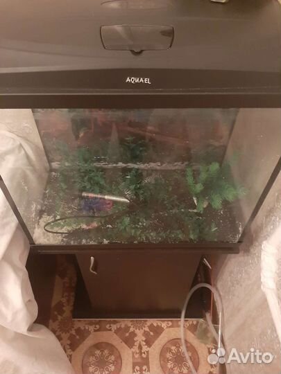 Продам фирменный аквариум цена договорная