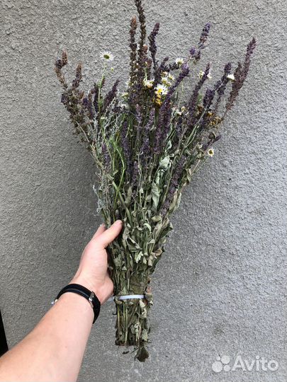 Травы для бани