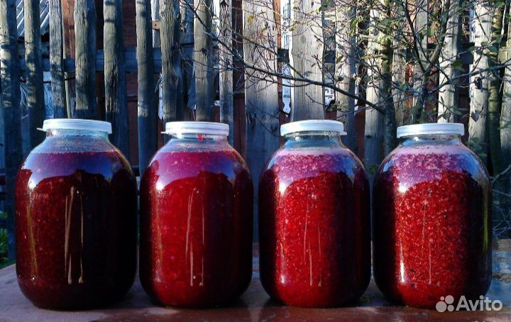 Калина протертая с сахаром