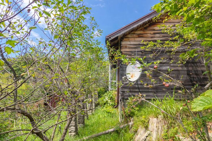 Дом 56 м² на участке 5 сот.