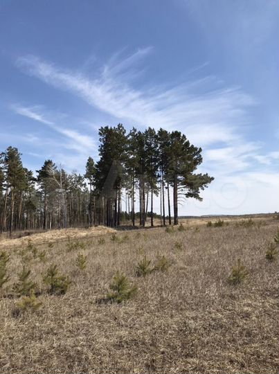 Участок 45 сот. (СНТ, ДНП)