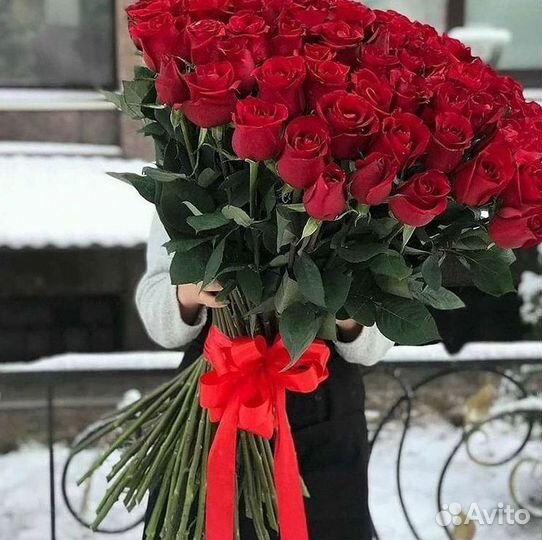 Розы гиганты 140 150 160 170 180 200