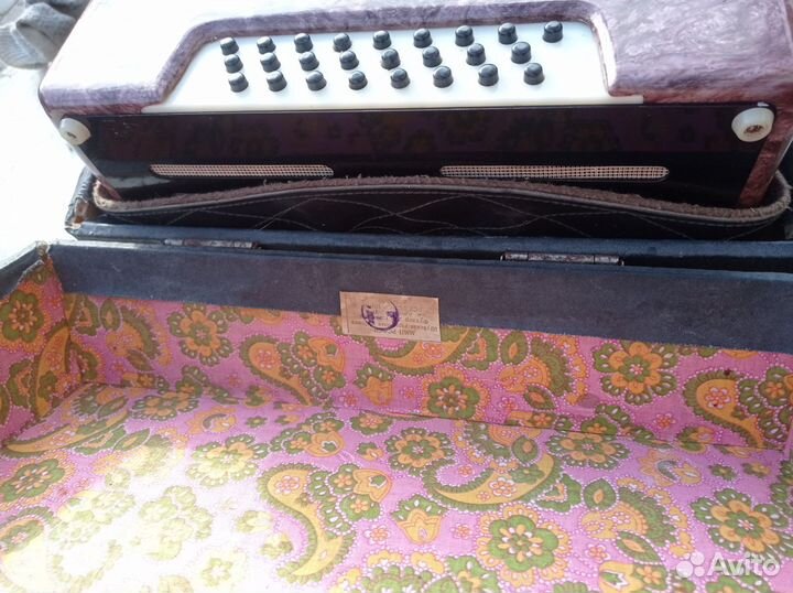 Гармонь чайка