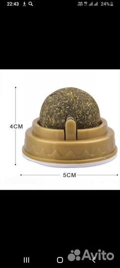 Кошачья мята