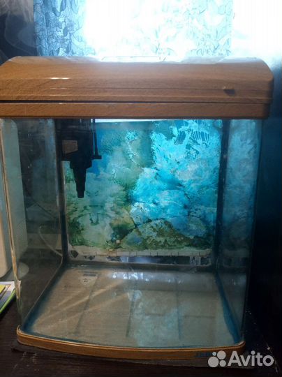 Аквариум