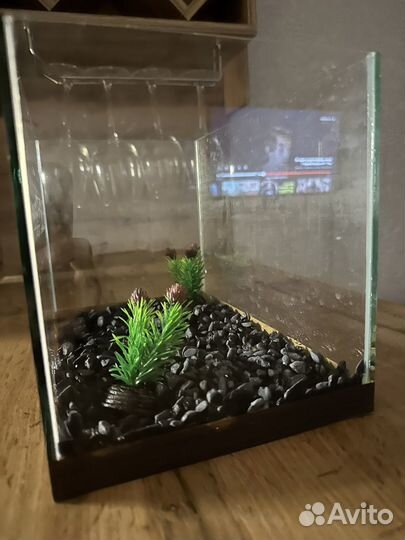 Аквариум с рыбками