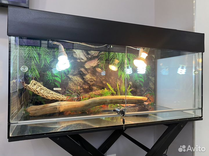 Террариум для рептилий бу