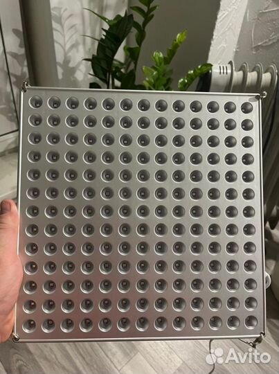 Фитолампа для растений