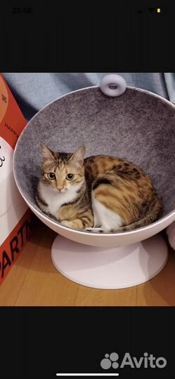 Домик лежанка для кошки и собаки