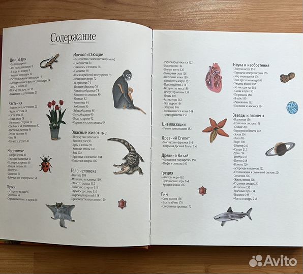 Энциклопедия эрудита, животных