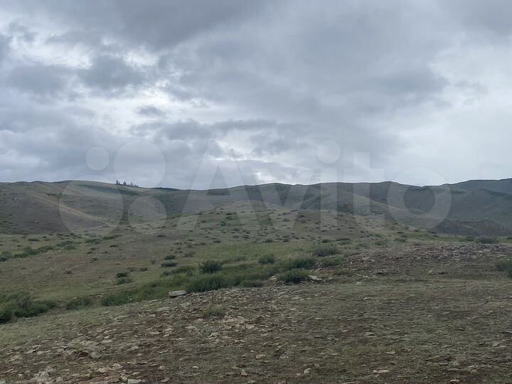 Участок 250 га (СНТ, ДНП)