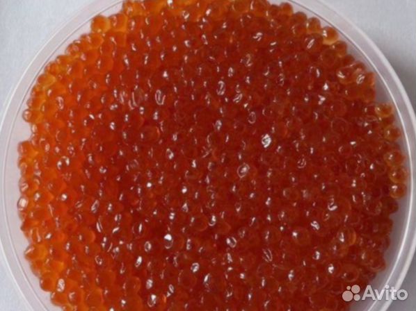 Красная икра 2024