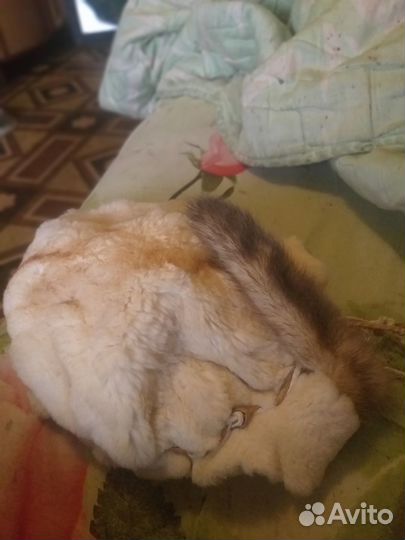 Шапка из стриженного кролика