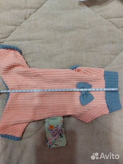 Одежда для сфинксов кошки