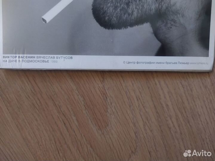 Плакат В. Васенин. В.Бутусов на даче в Подмосковье