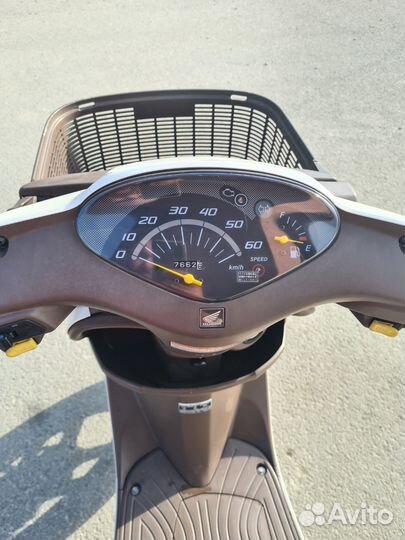 Honda Dio Cesta