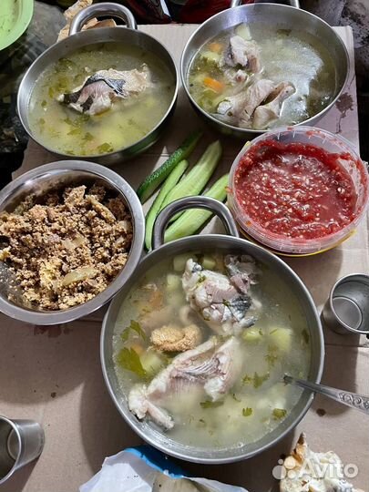 Рыбалка на Ямале трофейный хариус и морской рыбы