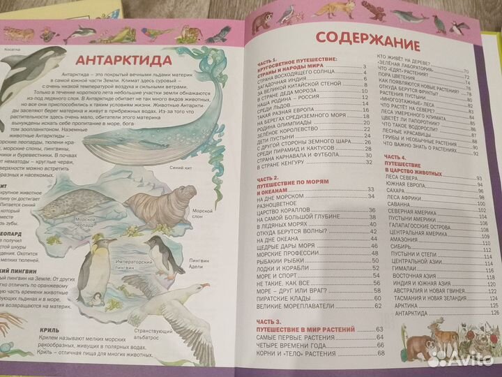 Детская энциклопедия