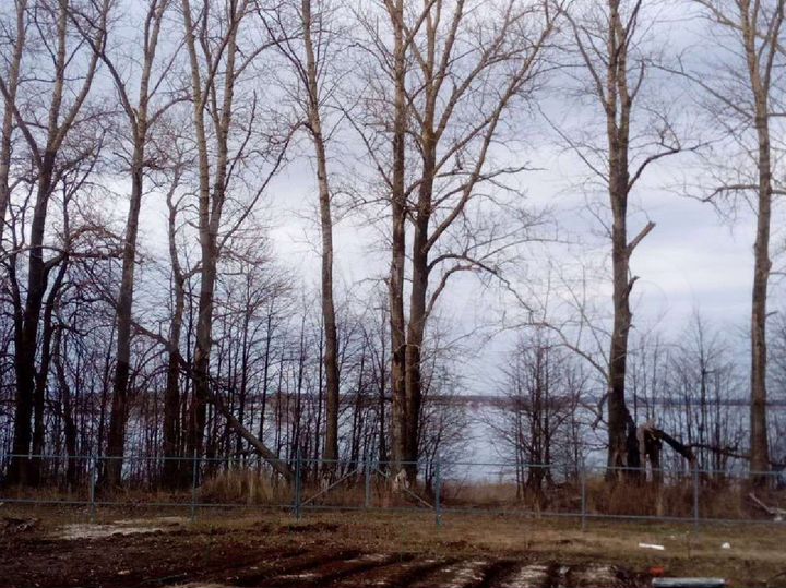 Участок 12,5 сот. (ИЖС)