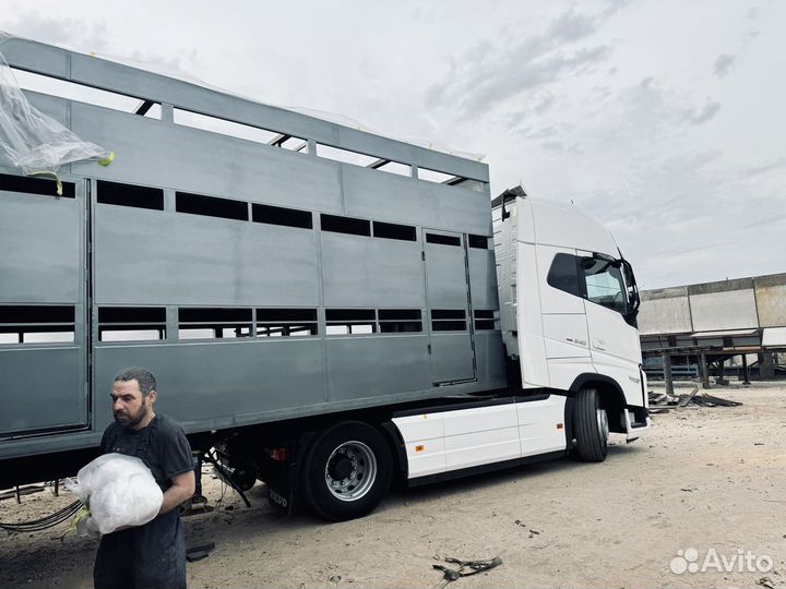 Скотовоз 17 метров Перевозка скота Мрс,Крс,Лошадей
