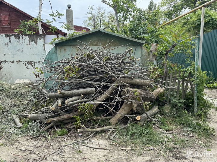 Дрова бесплатно самовывоз