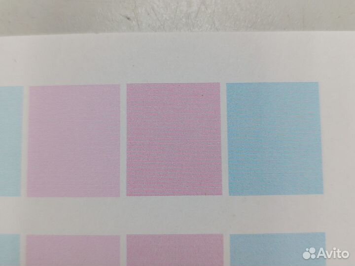 DTF Epson L800