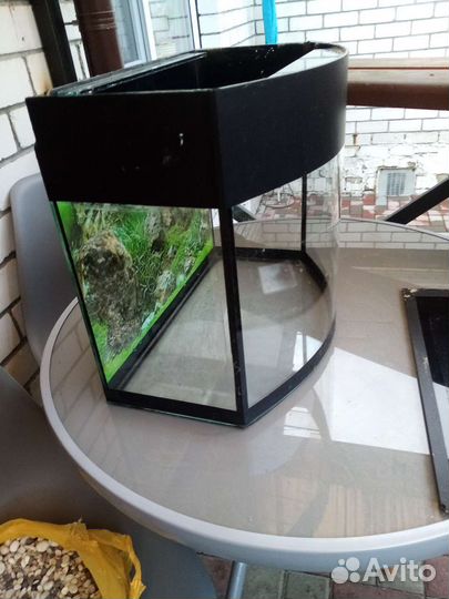 Аквариум