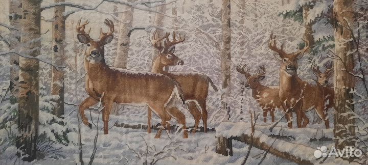 Готовая вышивка крестом в раме