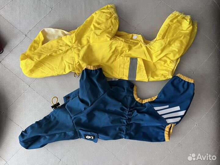 Одежда для маленькой собаки