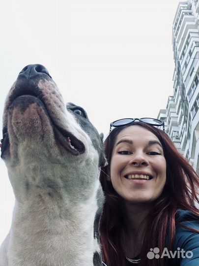 Передержка собак разных пород