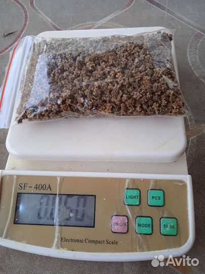 Тыква витаминная