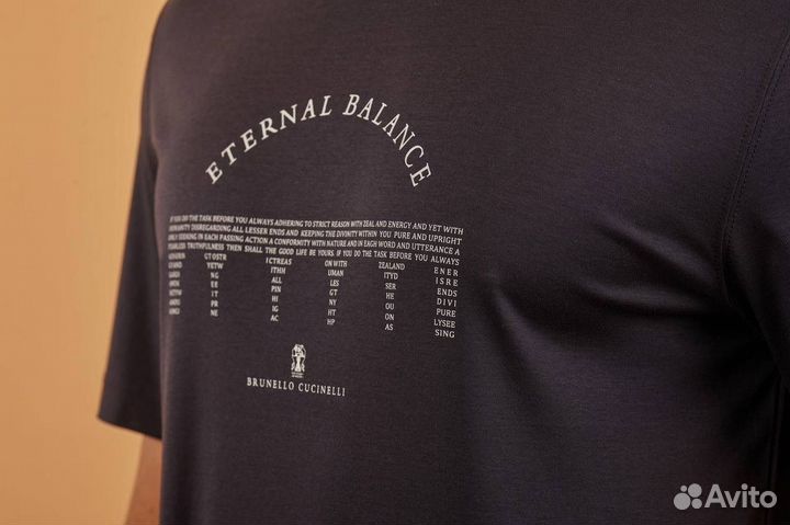Футболка мужская brunello cucinelli