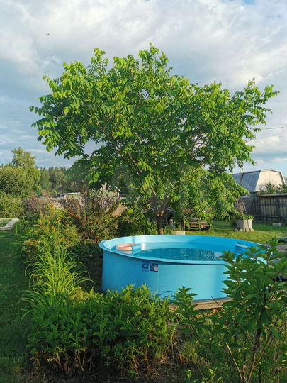 Дача 24 м² на участке 9,1 сот.