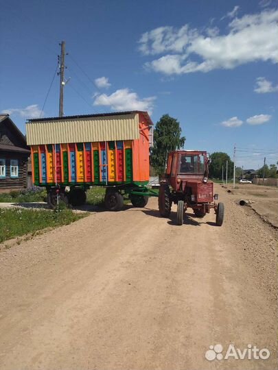 Пчелопавильон 52 семьи рут