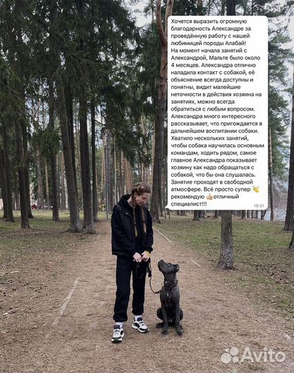 Дрессировка собак/кинолог ; г.Раменское