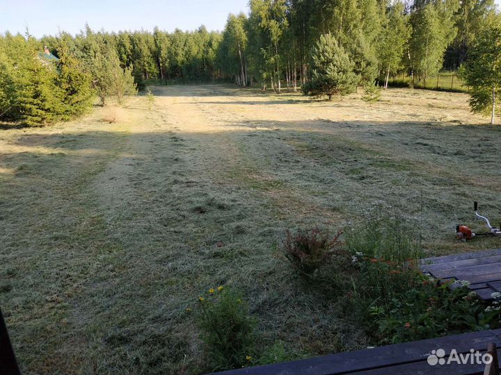 Покос травы, расчистка участков, спил деревьев