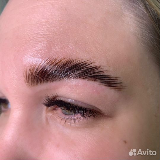 Мастер бровист