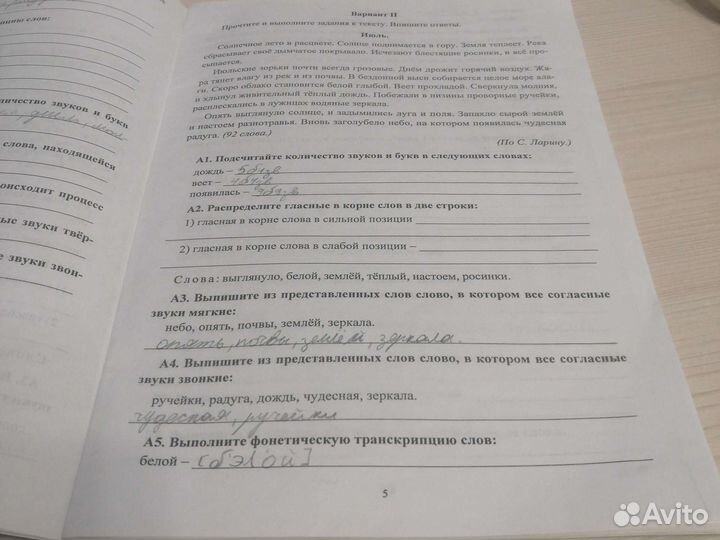 Русский язык, 5 класс, тренировочные работы