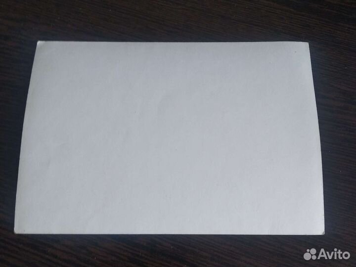 Настоящее фото Спартак Москва