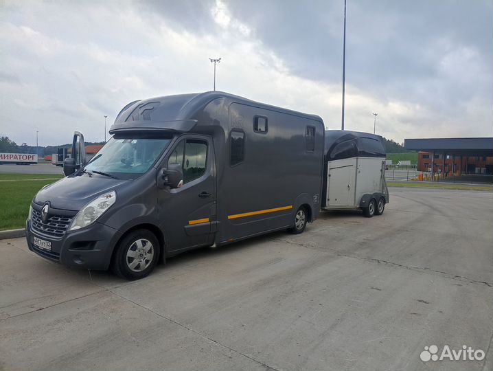 Перевозка лошадей