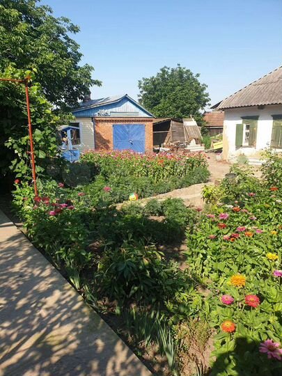 Дом 56 м² на участке 24 сот.