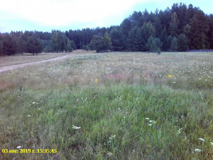 Участок 30 сот. (ИЖС)