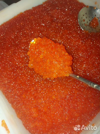 Красная икра горбуши 2024