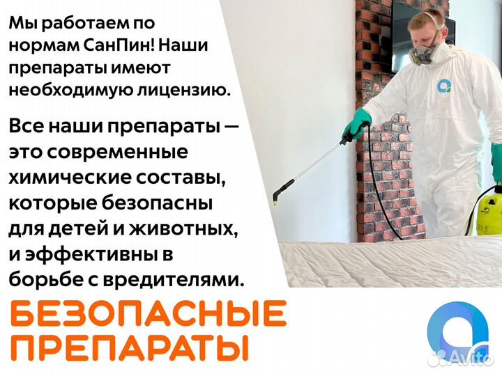 Уничтожение тараканов клопов блох дезинсекция