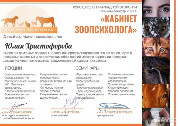 Кинолог, зоопсихолог. Дрессировка. В зале. Выезд