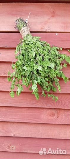 Веники для бани Дуб Берёза