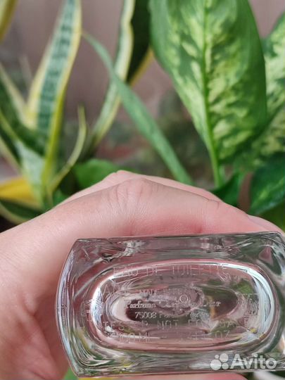 Dior Forever and ever